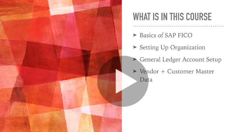 SAP FICO For Beginners - A Guide to SAP Financial Accounts (Dhruv Bais)