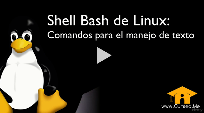 Shell Bash de Linux: Comandos para el manejo de texto (Udemy)