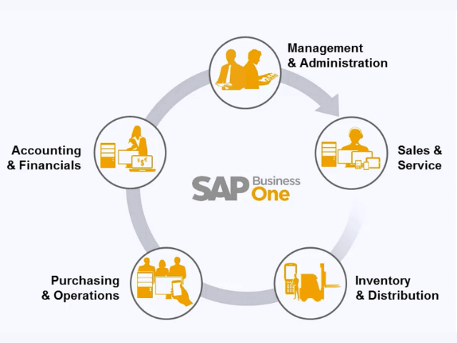 Analizar sel sistema SAP a las necesidades del negocio