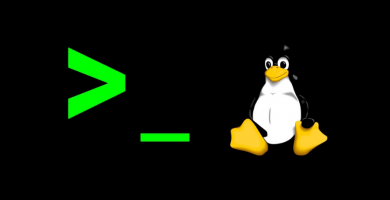 ¿Cómo ejecutar scripts en Linux?
