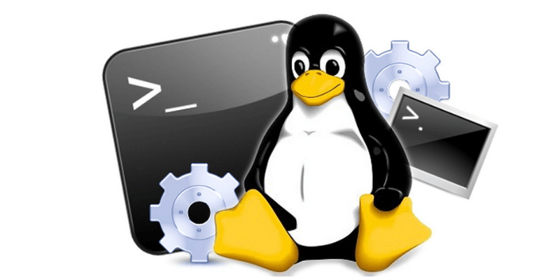 ¿Qué otros comandos son importantes al crear directorios de Linux?